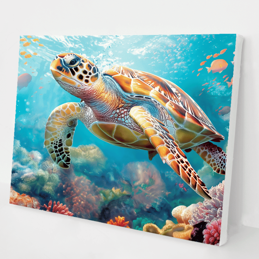 Coral Reef Explorer kit