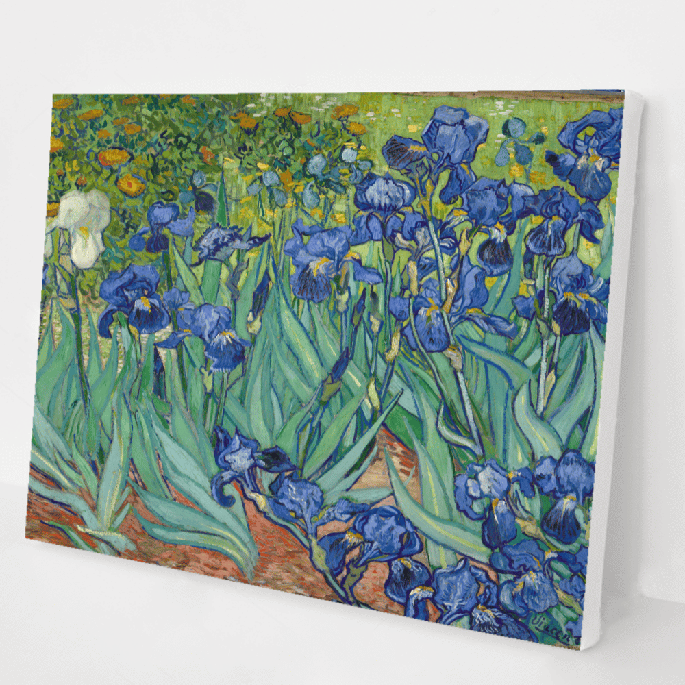 Irises by Vincent Van Gogh