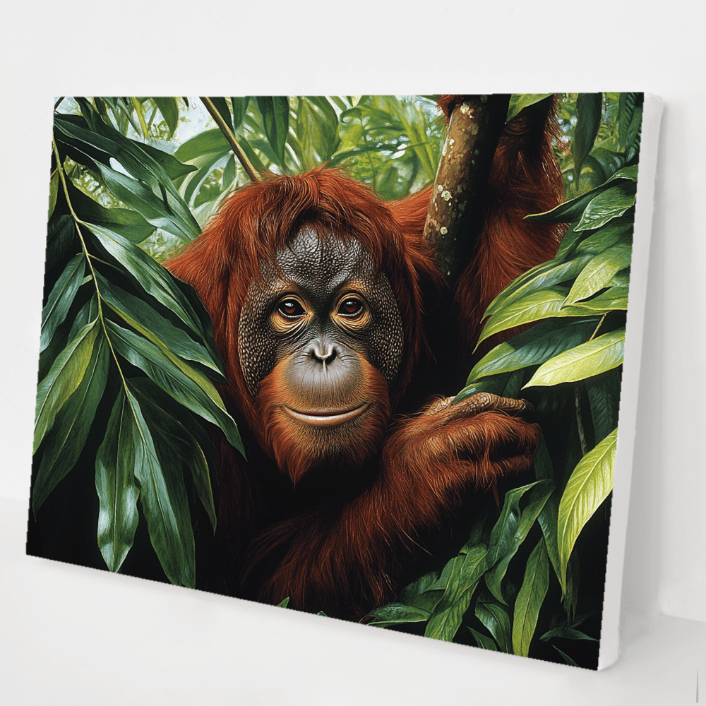 Orangutan’s Rainforest Sanctuary kit