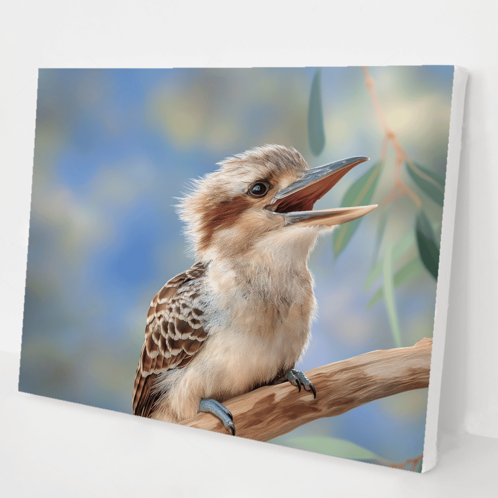 Baby Kooka’s Morning Song kit
