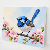Blue Wren Blossom kit