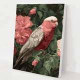 Blushing Galah kit