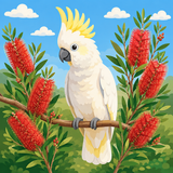 Cockatoo and Bottlebrush Easy Paint by Numbers Kit