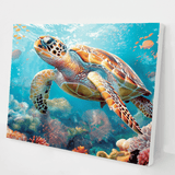 Coral Reef Explorer kit