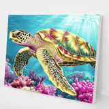 Coral Wanderer kit