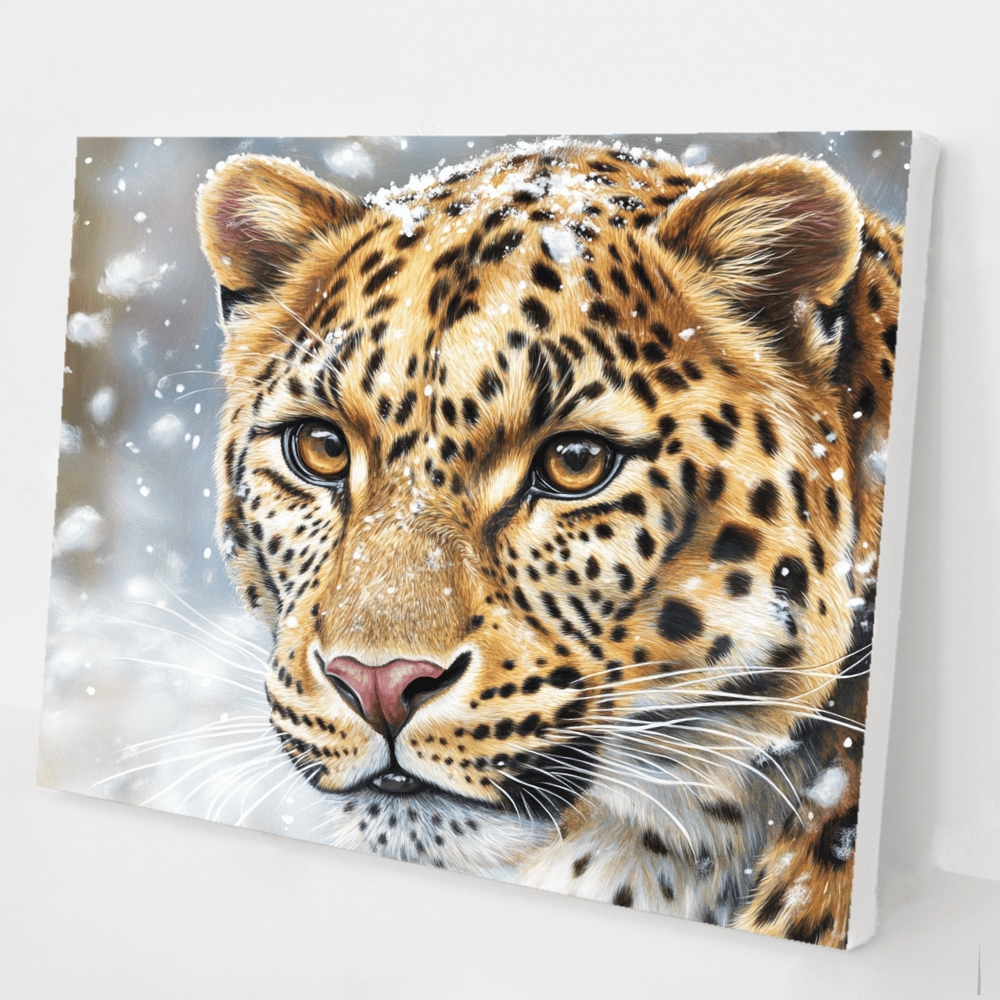 Leopard's Gaze kit