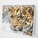 Leopard's Gaze kit
