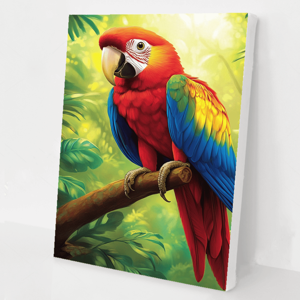 Macaw kit