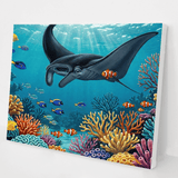 Manta Magic kit