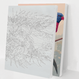 Paint by Number Mystery Bundle - Animals 2 Pack