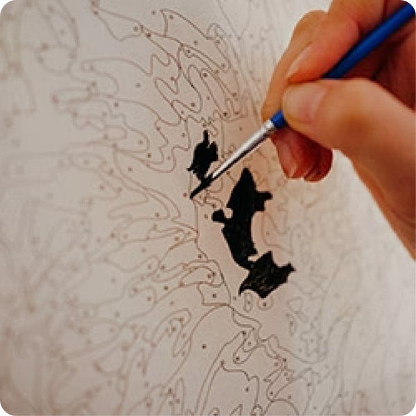 Paint Plot Paint By Numbers For Adults