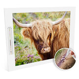 Highland Cattle diamonds