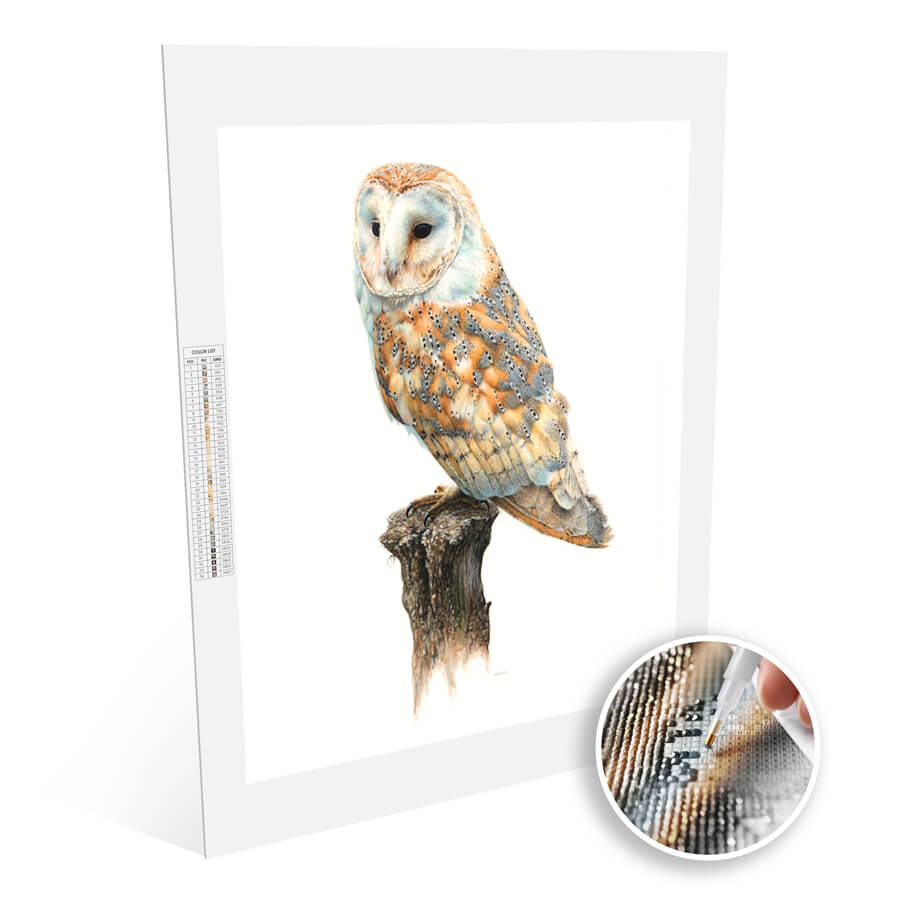 Barn Owl diamonds