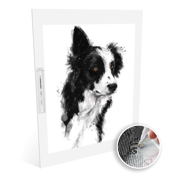 Paint Plot Border Collie Diamond Painting Kit Paint Plot Australia