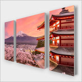 Fuji Multi-Panel kit