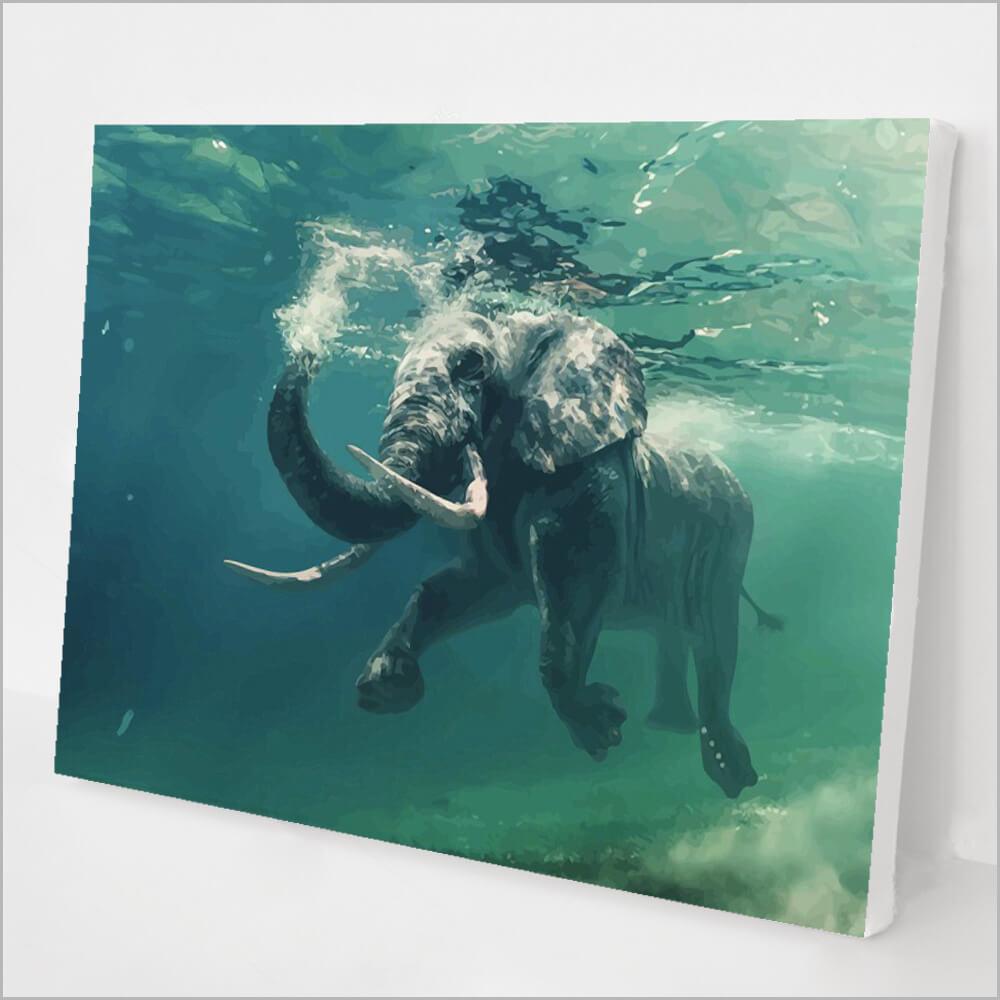 Swimming Elephant kit