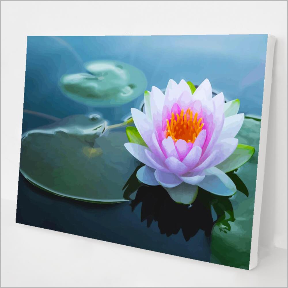 Water Lily kit