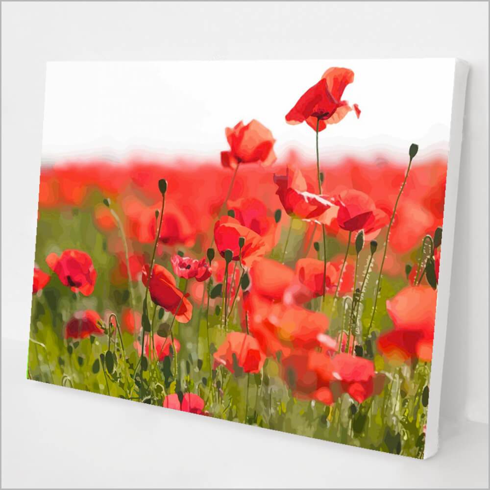 Poppy Field kit