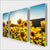Sunflower Field Multi-Panel kit